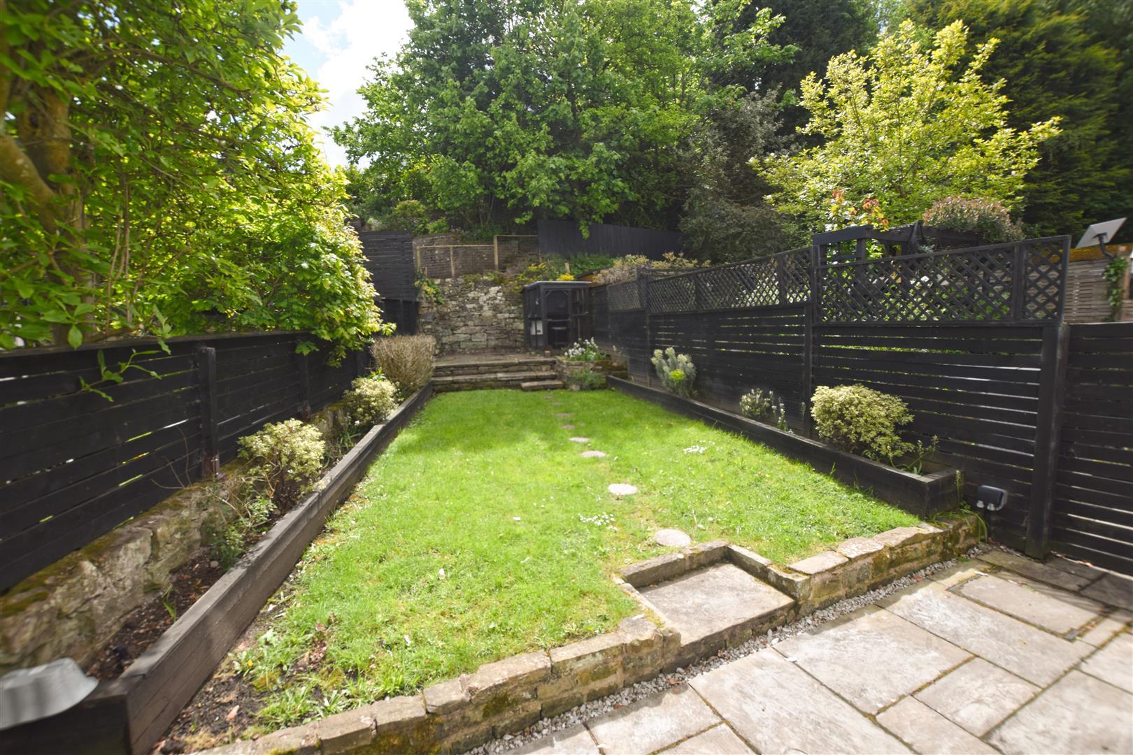 Image 15