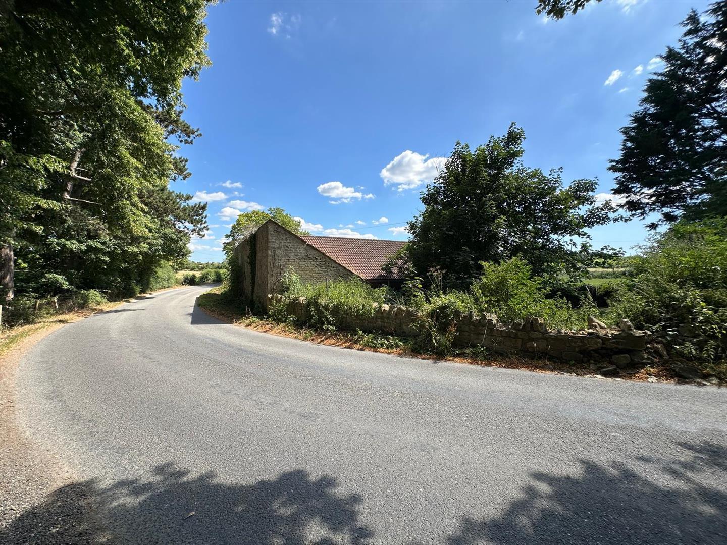 Property Image 8b91623e-37d5-4d83-9c5b-6a5bf6e236b0