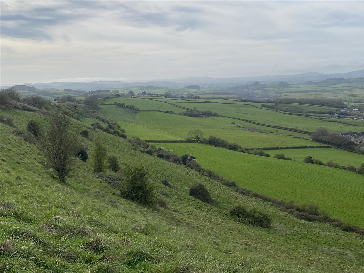 Property Image 8bac7a4a-8ede-4cf2-a2f0-f3b7b8314f88