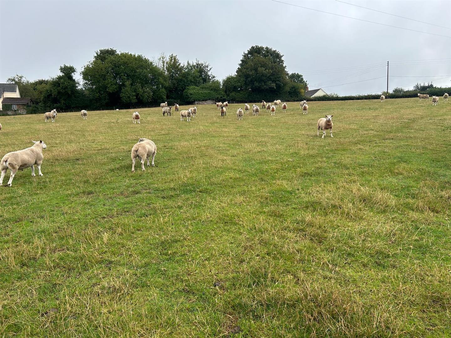 Property Image 8be99650-738a-4b9b-a8b7-fe2403bd41ad