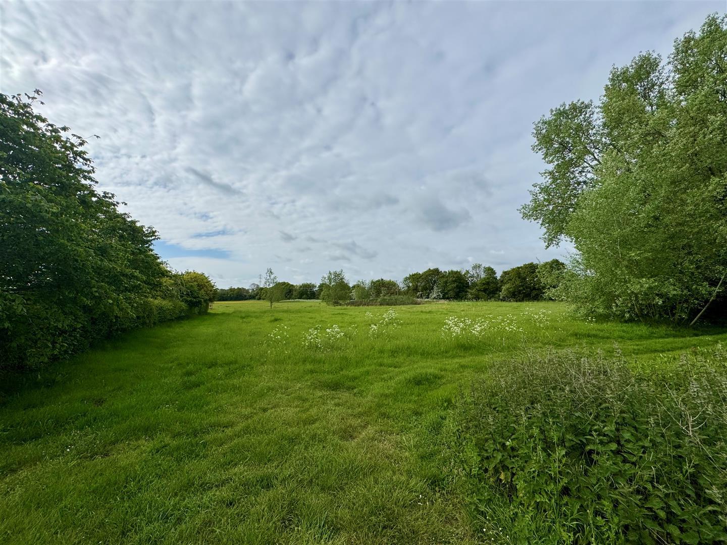 Property Image 8c152bd7-286d-473e-89ea-8efa53bec31e