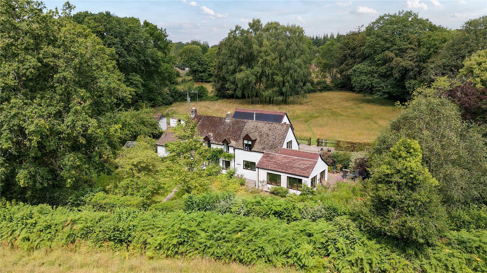 Property Image 8c168d84-0a6a-4b6d-943a-0075524cb7b9