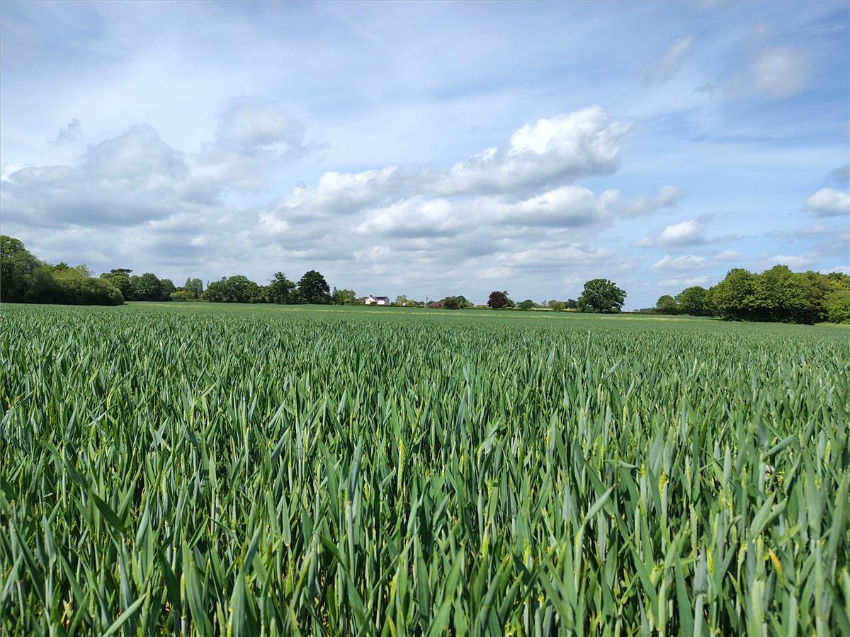 Property Image 8c28d05f-0d7d-4e24-b5c8-e4ecff500e5d