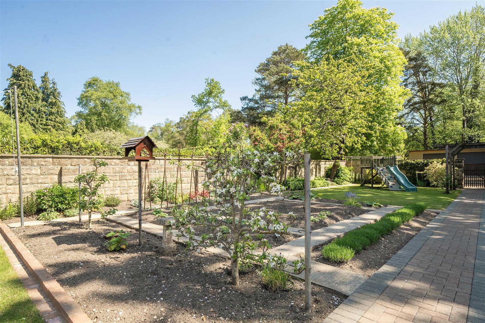 Property Image 8c5d0b13-6b49-4ee7-90c8-8c7837bbae58