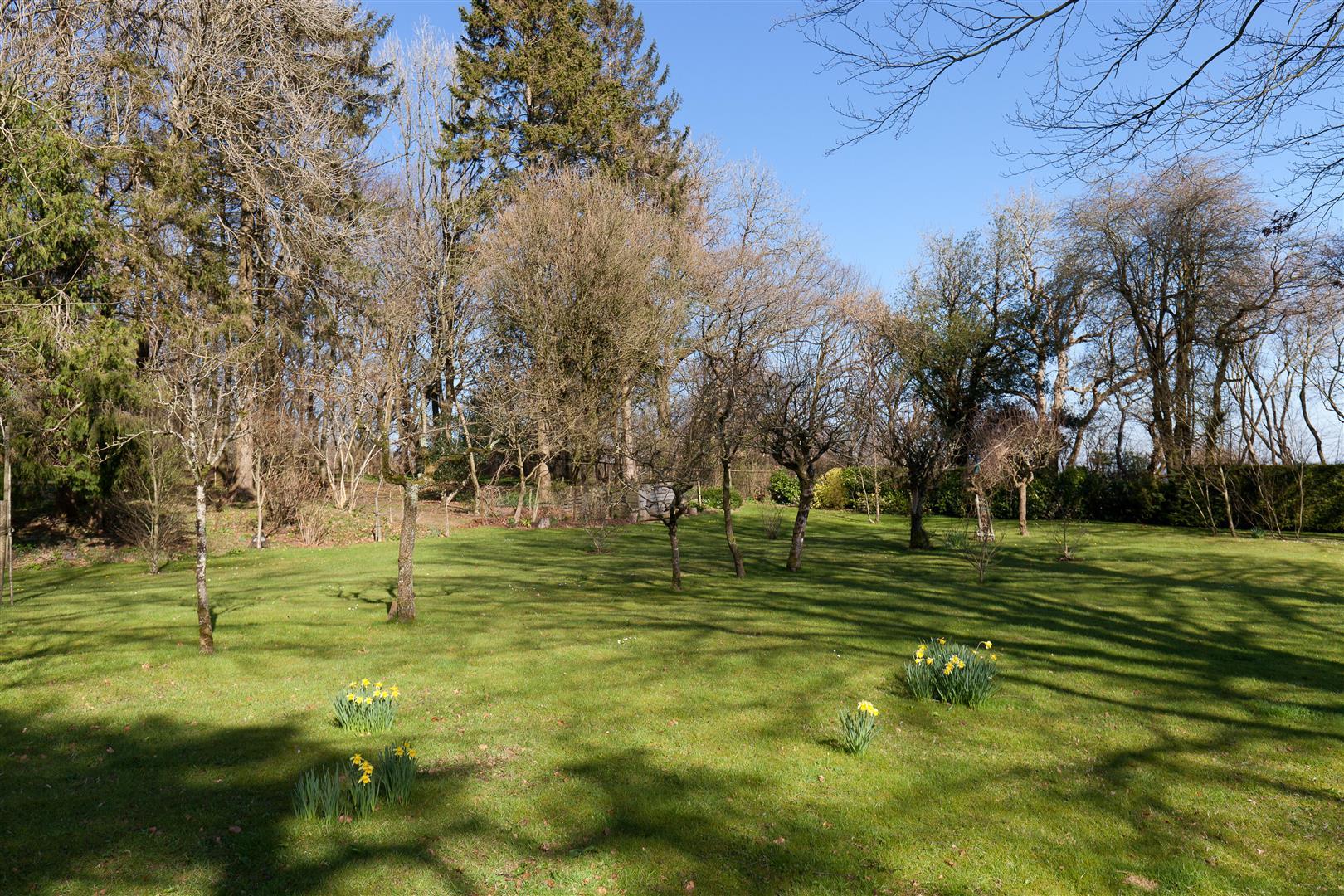 Property Image 8c5e5ab6-fdca-4544-b3fe-80fe71f8fa36