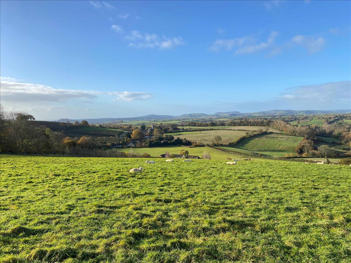 Property Image 8c92ff49-dfc9-4c55-8356-f36929237291