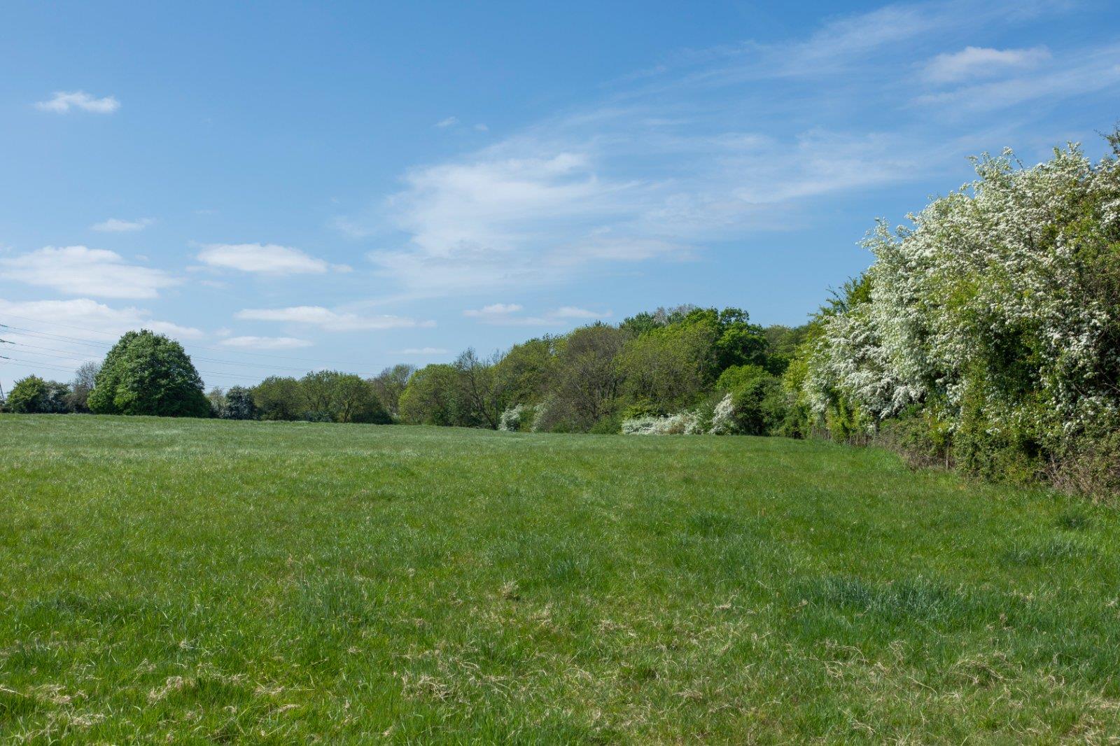 Property Image 8cf2195a-f6d7-4d03-976d-62aaca9ab1d4