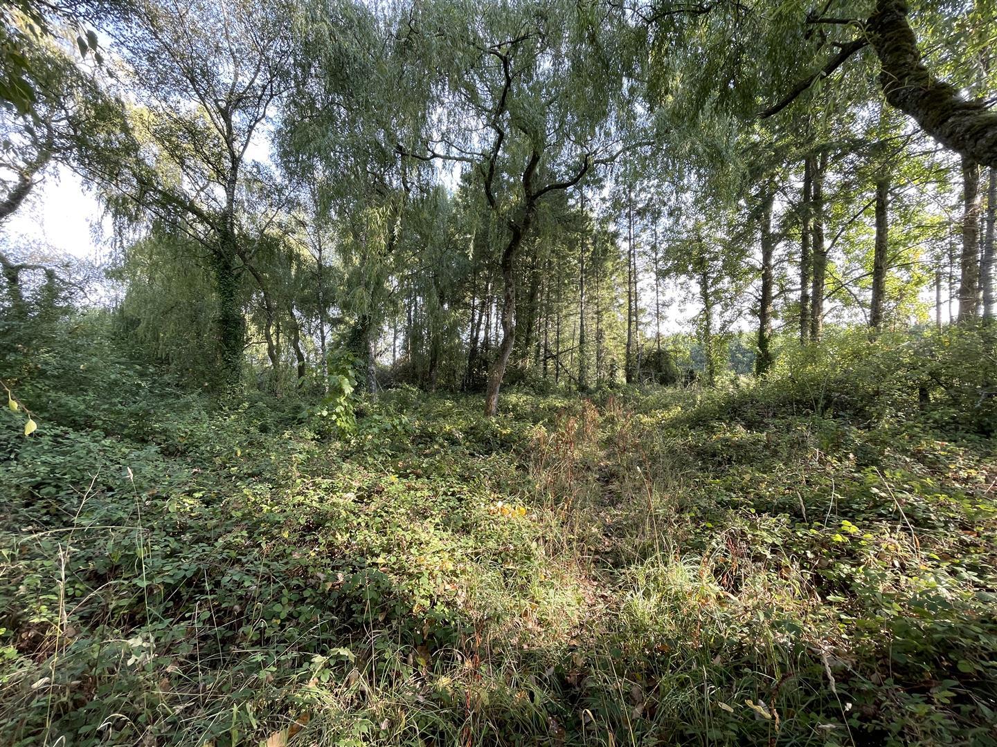 Property Image 8cf6b7ee-f2c4-4b5c-8a5f-d40ef2c38cab