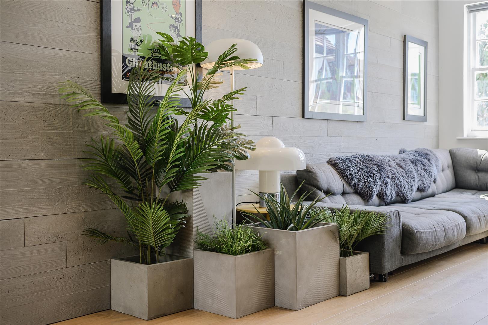 Property Image 8d06e4a1-72ef-49ca-a8ce-55cdb9886afe