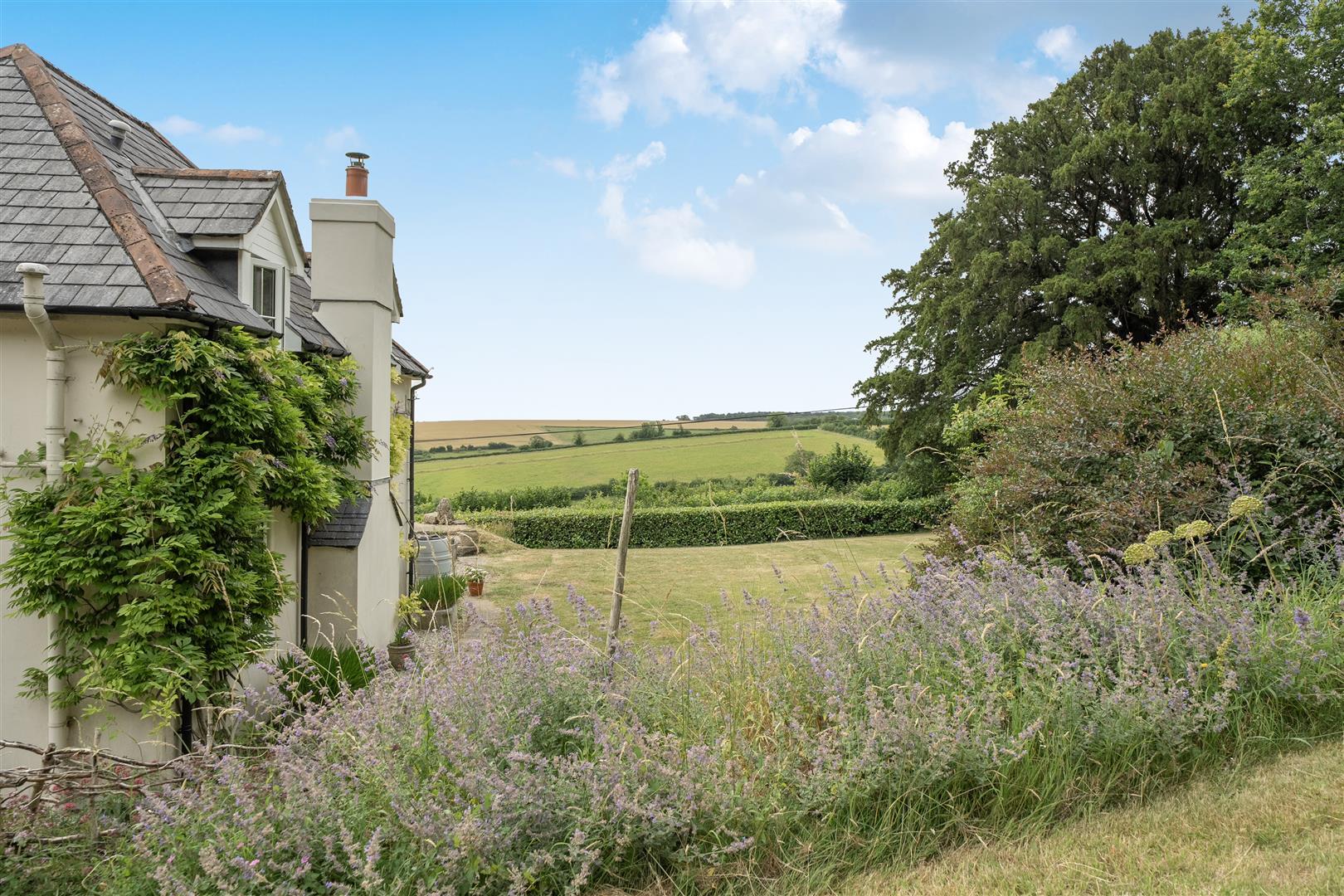 Property Image 8d25d9aa-bb73-46da-8162-a3a0393af694