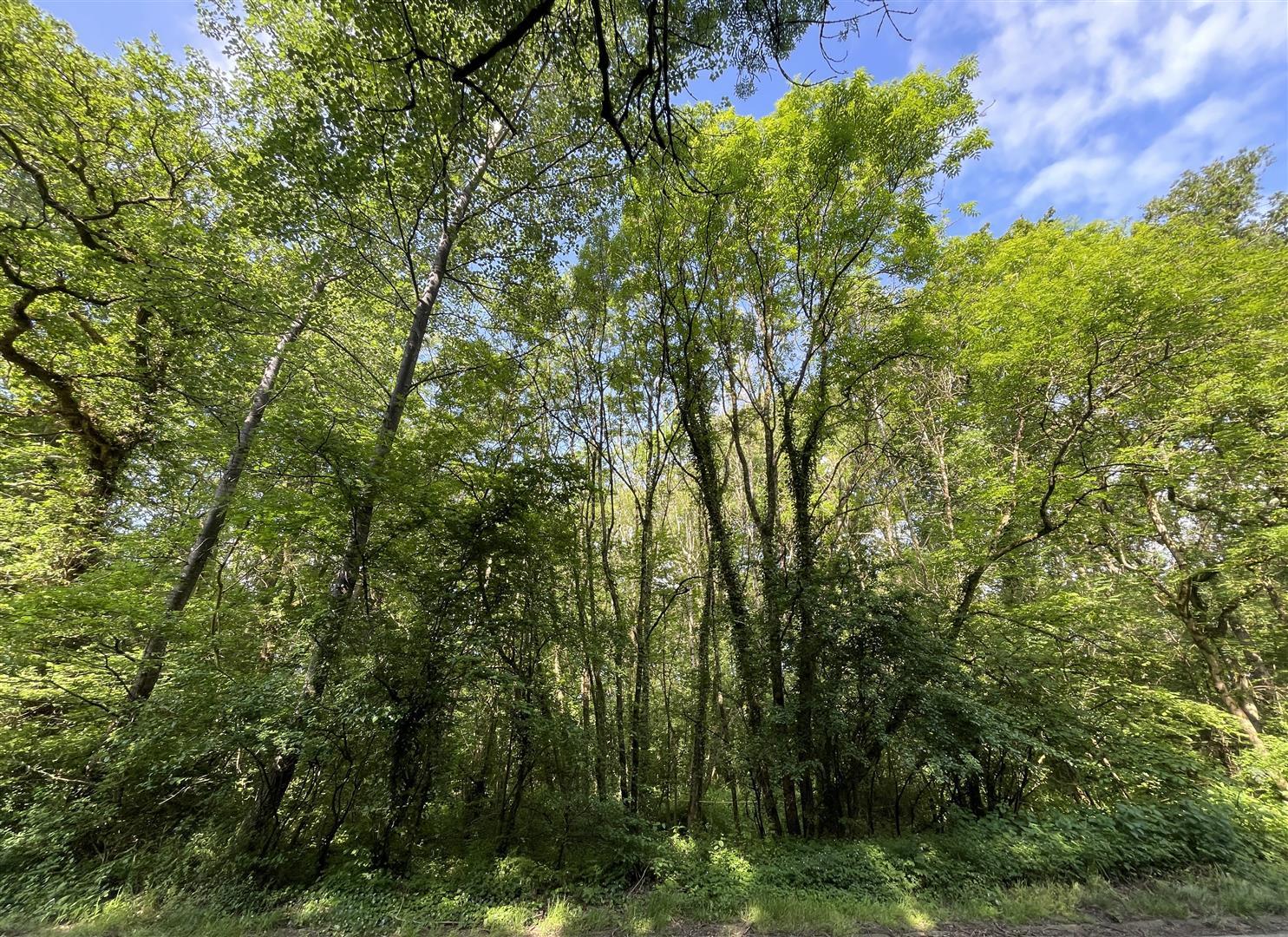 Property Image 8d28e199-e35a-482a-868d-a3e63bfc56ab