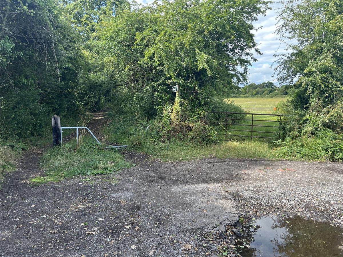 Property Image 8d3d43f0-cbe5-46b7-9c99-08b11ffcb85b