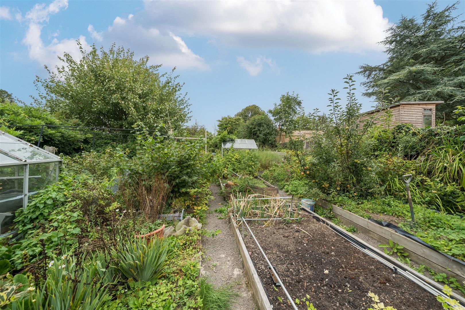 Property Image 8d3feafb-12ed-4e51-b501-1b48f4b13818