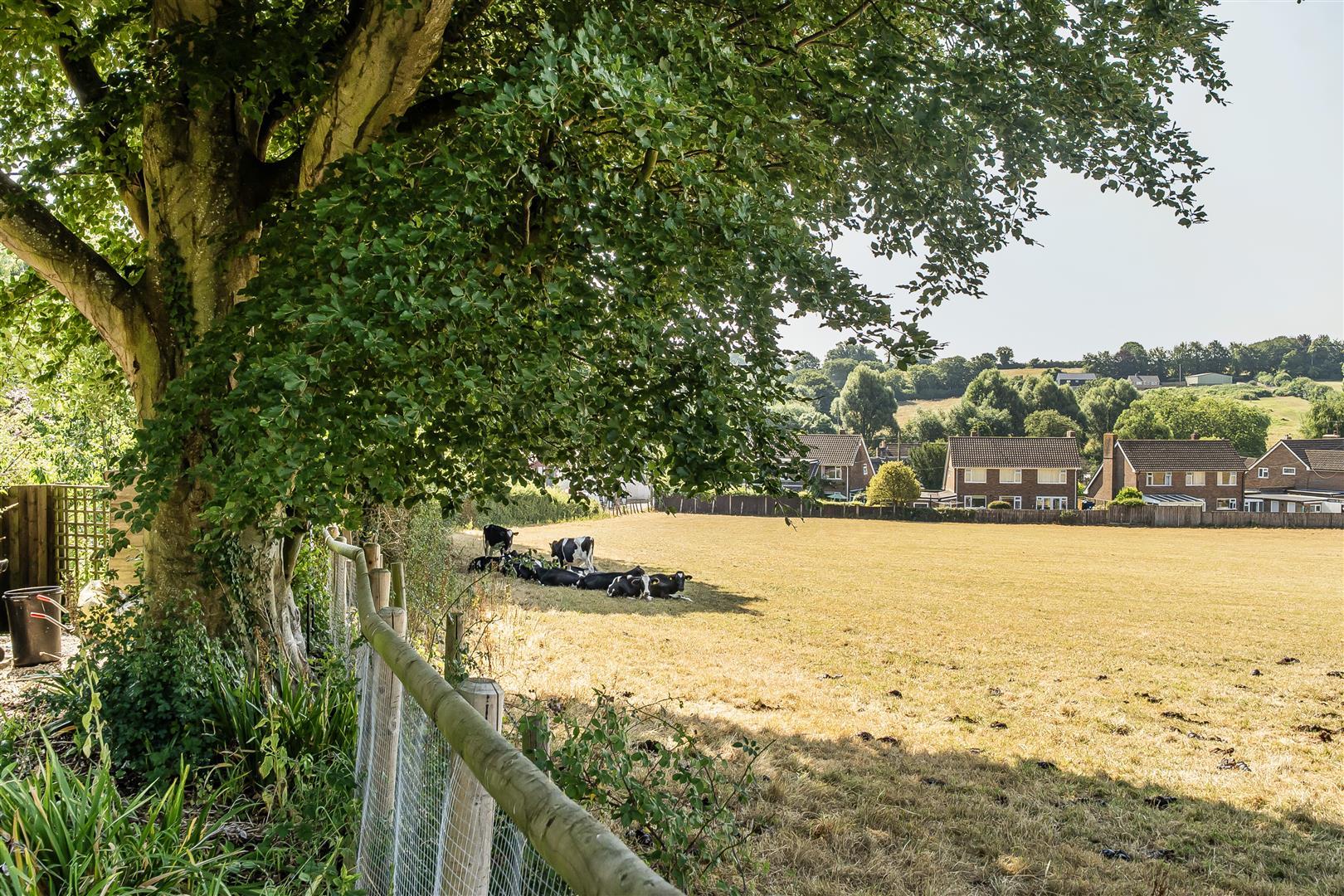 Property Image 8d43b6ec-2f5c-46d3-9a00-4f1136b57434