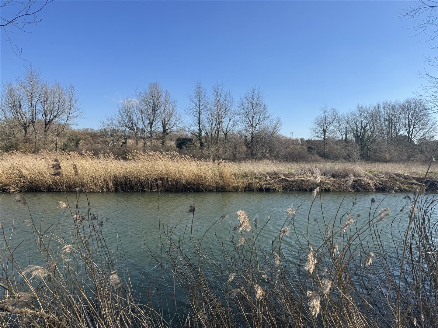 Property Image 8d5f7678-ee16-493e-923b-152cfb2a2b2d