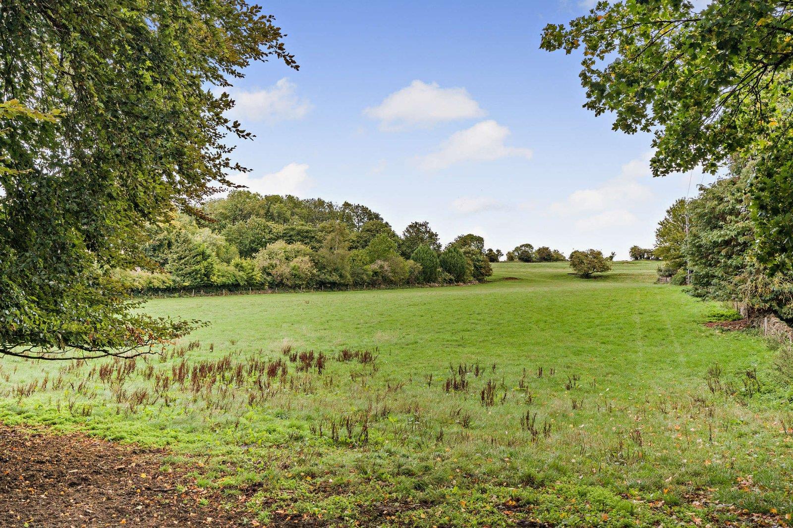 Property Image 8d769fc4-a83d-4fb8-aa7b-a707d558de9c