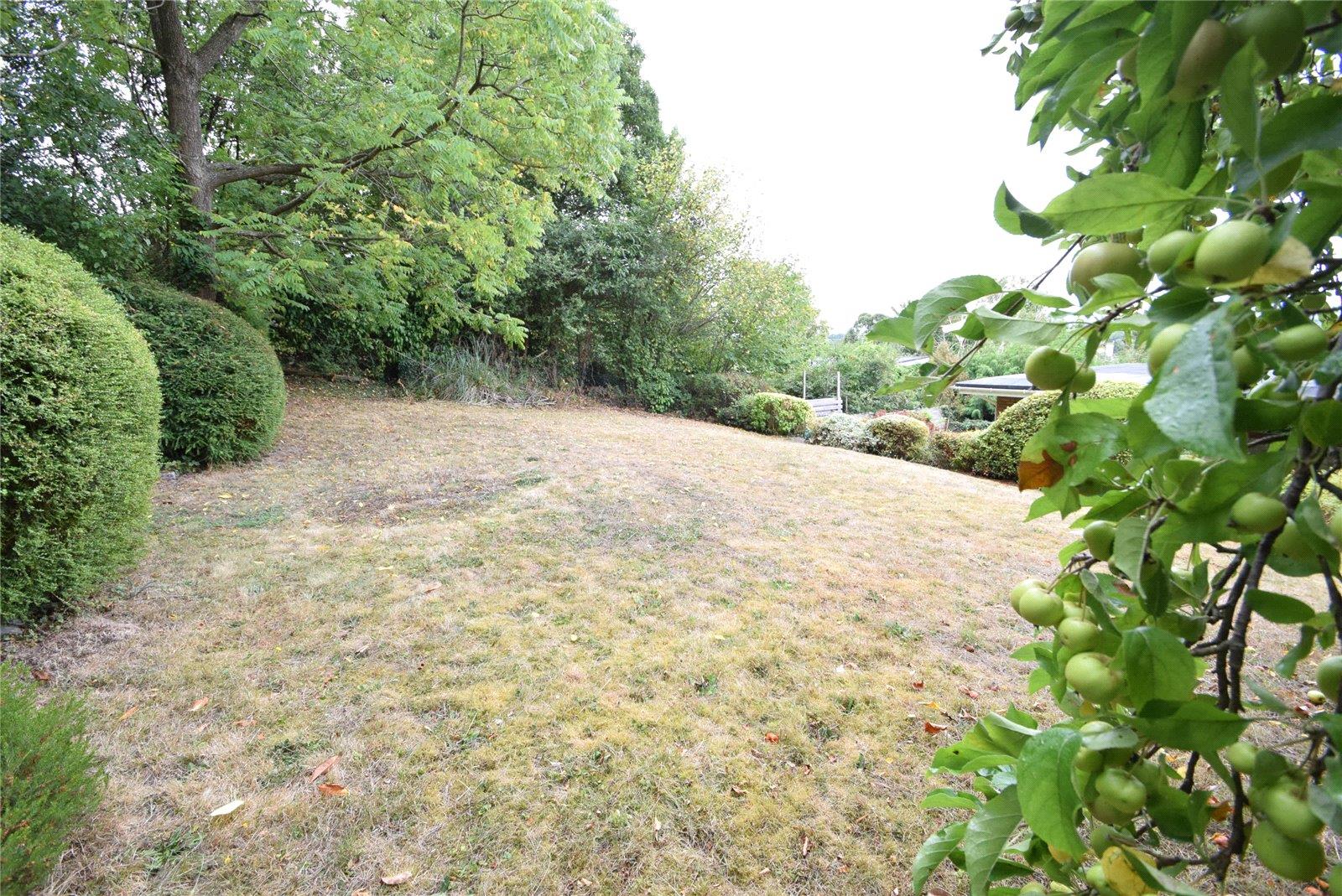 Property Image 8dc8e3b2-a05d-4088-b3d9-3437ac500cdb