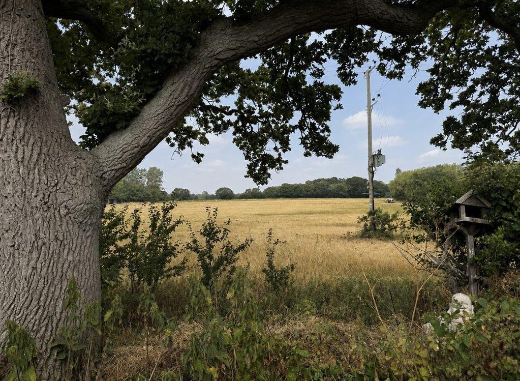 Property Image 8dd2c6a9-12db-41cf-9bb3-b9cd82224865