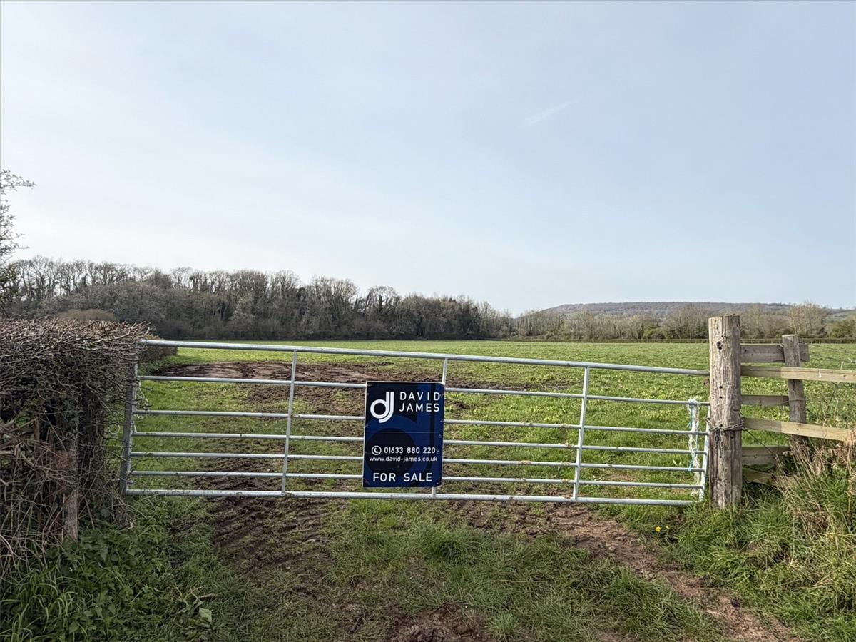 Property Image 8dd6f7d0-8ff6-468b-86b2-c9e1b51e4196