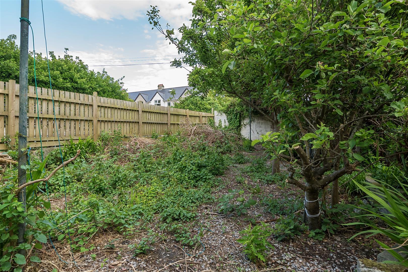 Property Image 8e6f6ddd-ef4b-4ff8-a7fa-aab0b036847f