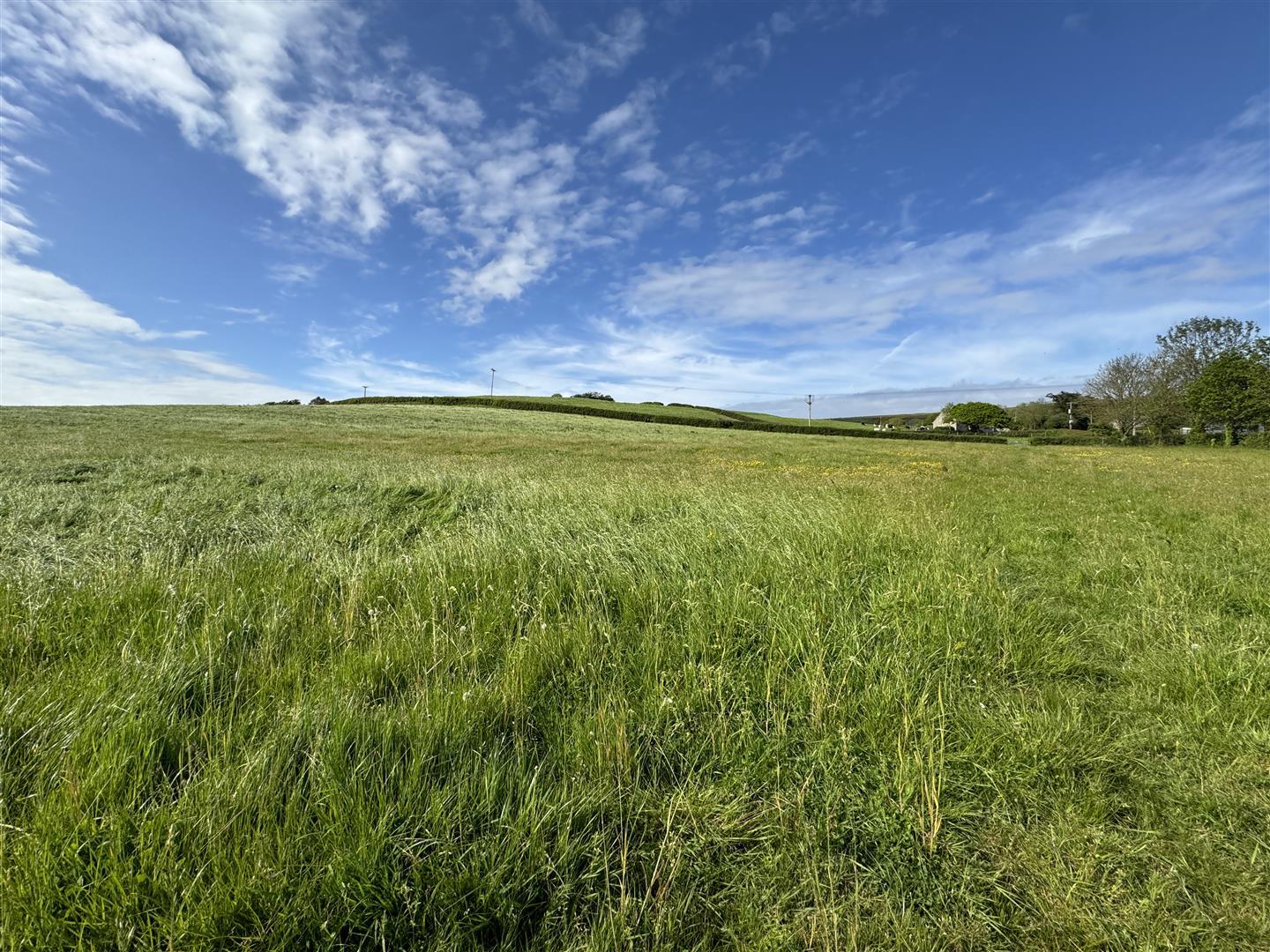 Image 32