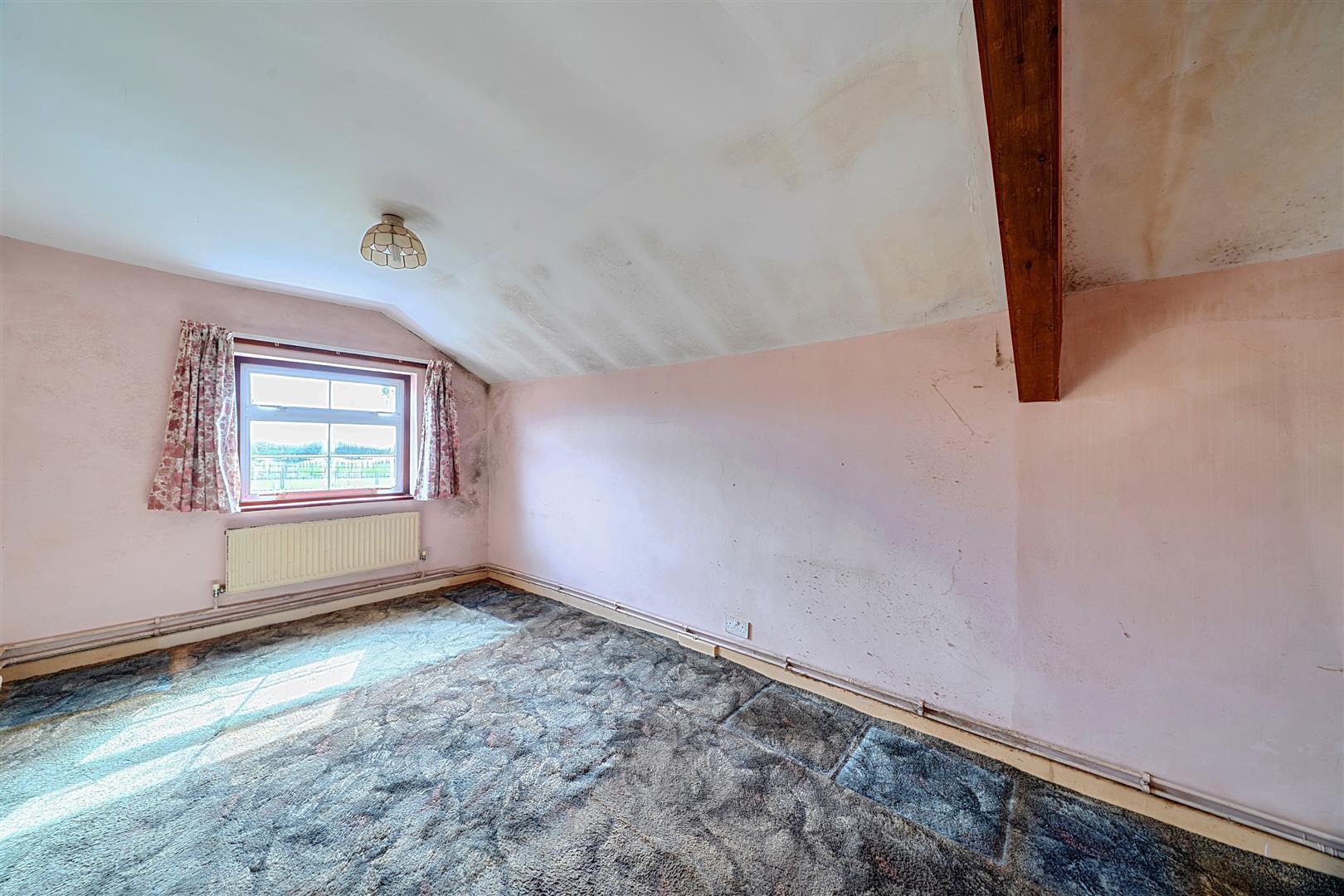 Property Image 8eb82579-2e49-4fcc-a7f0-f736ee137179