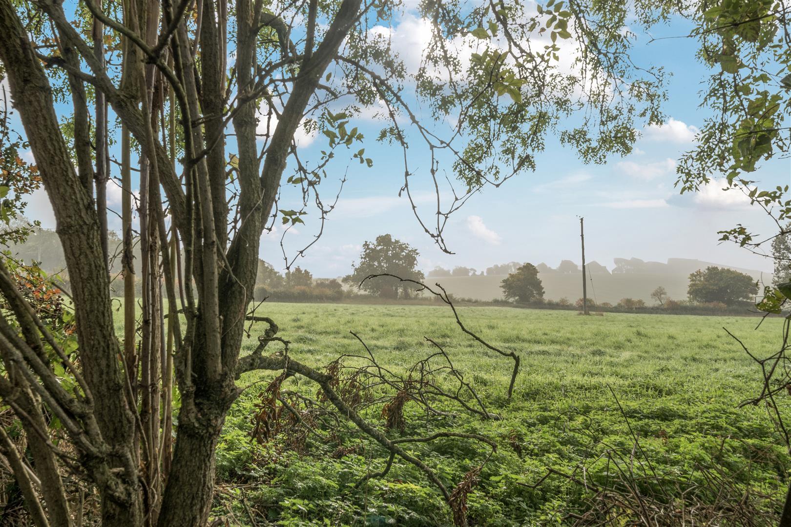 Property Image 8eea0480-15a0-4b68-b8f2-116db904e093