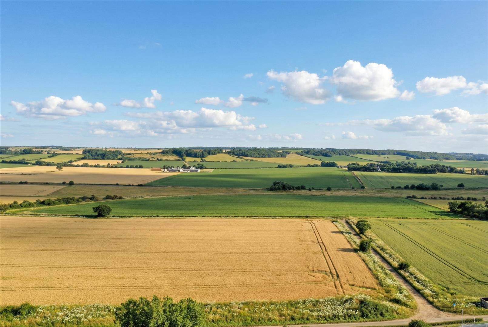Property Image 8f23a546-3891-42a7-9c9f-592d5d975875