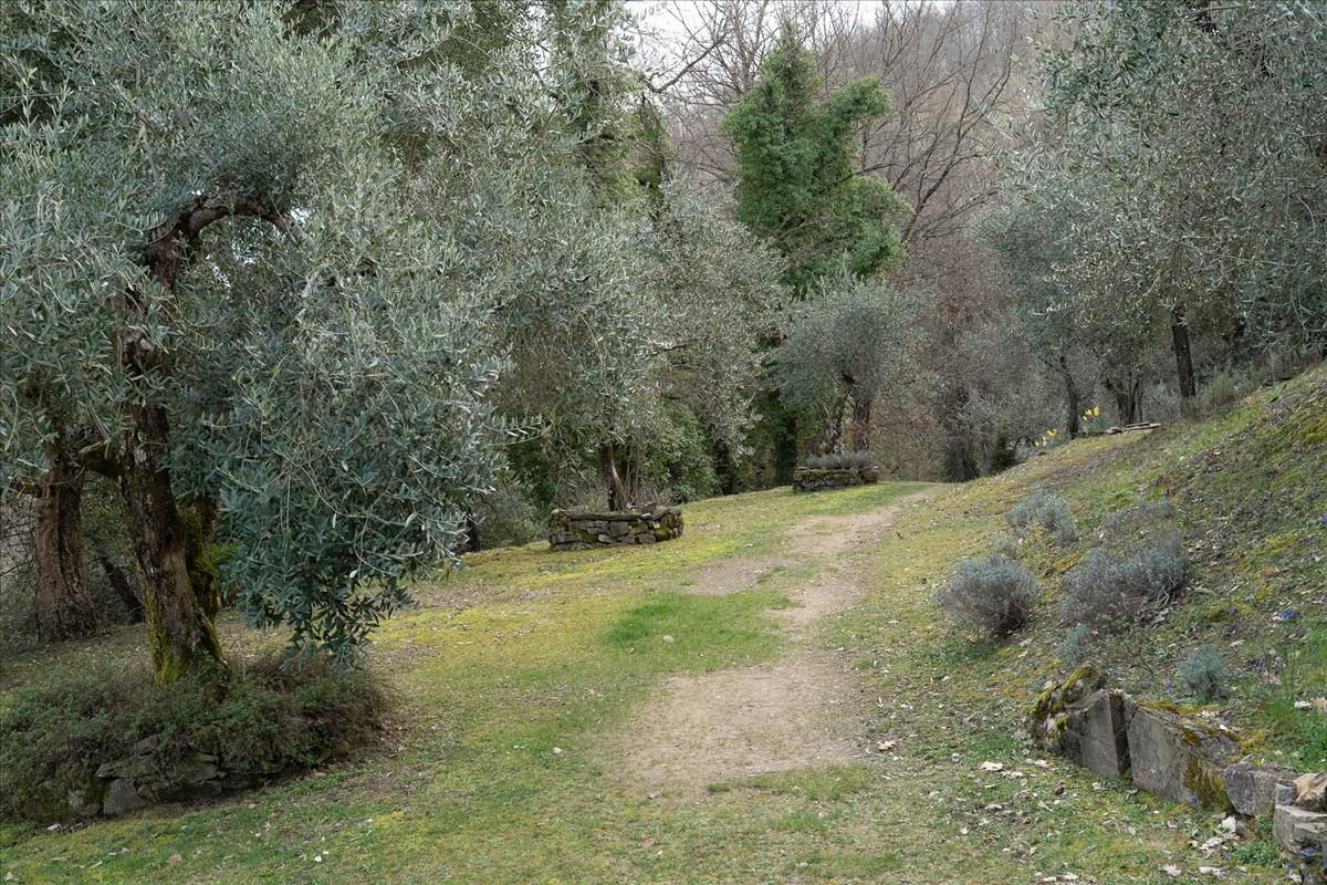 Property Image 8f30d36d-1fff-4d31-a948-371733c22e9f