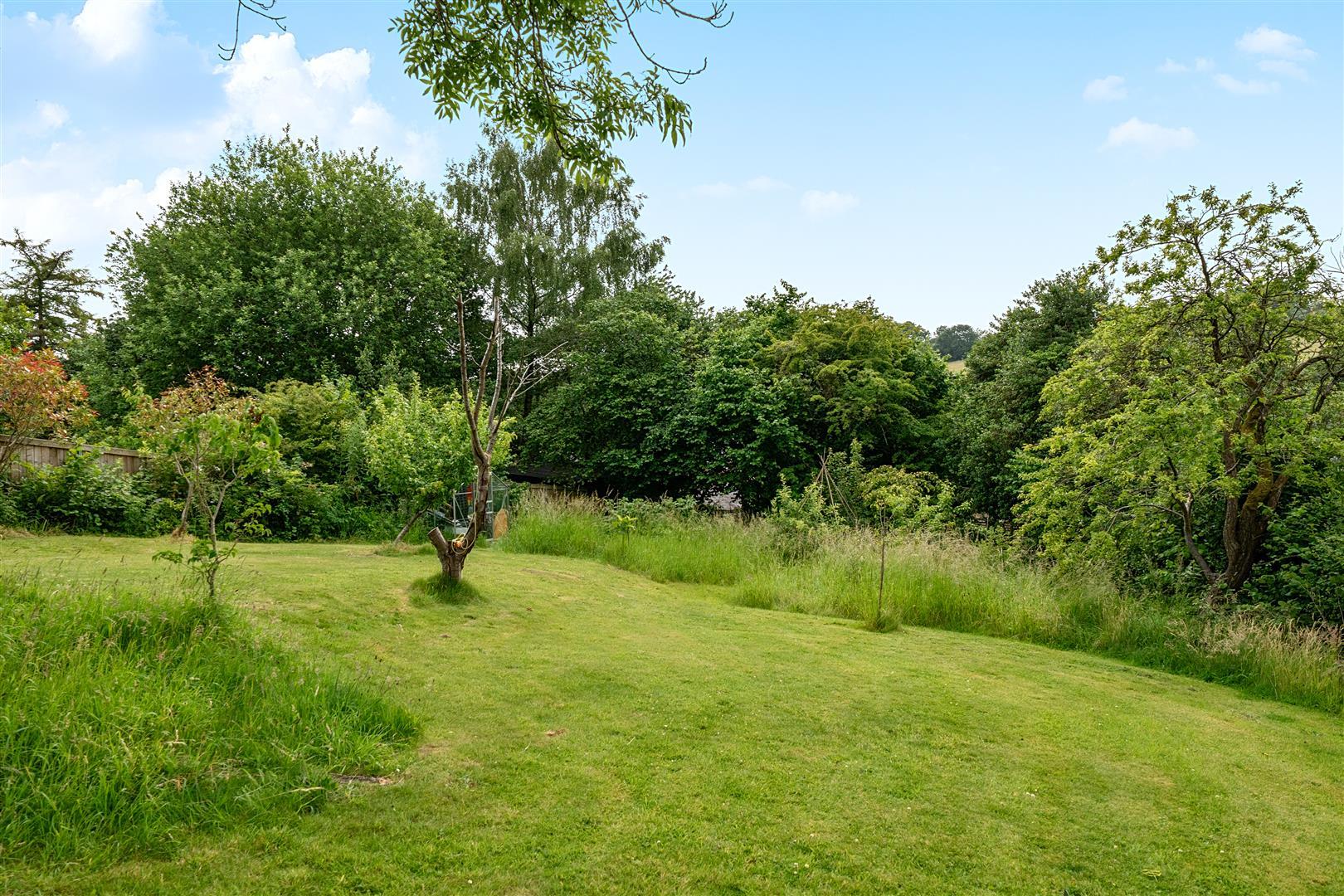 Property Image 8f35cb63-d09d-4773-a744-ed04dd19e33e