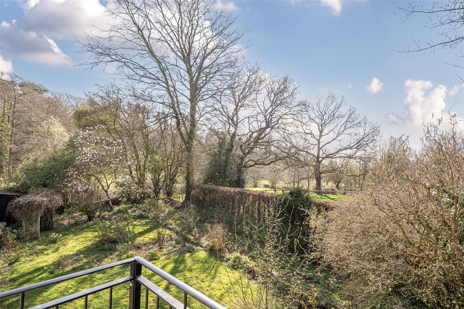 Property Image 8f95fba3-131e-4672-9ded-20ab1948abb9
