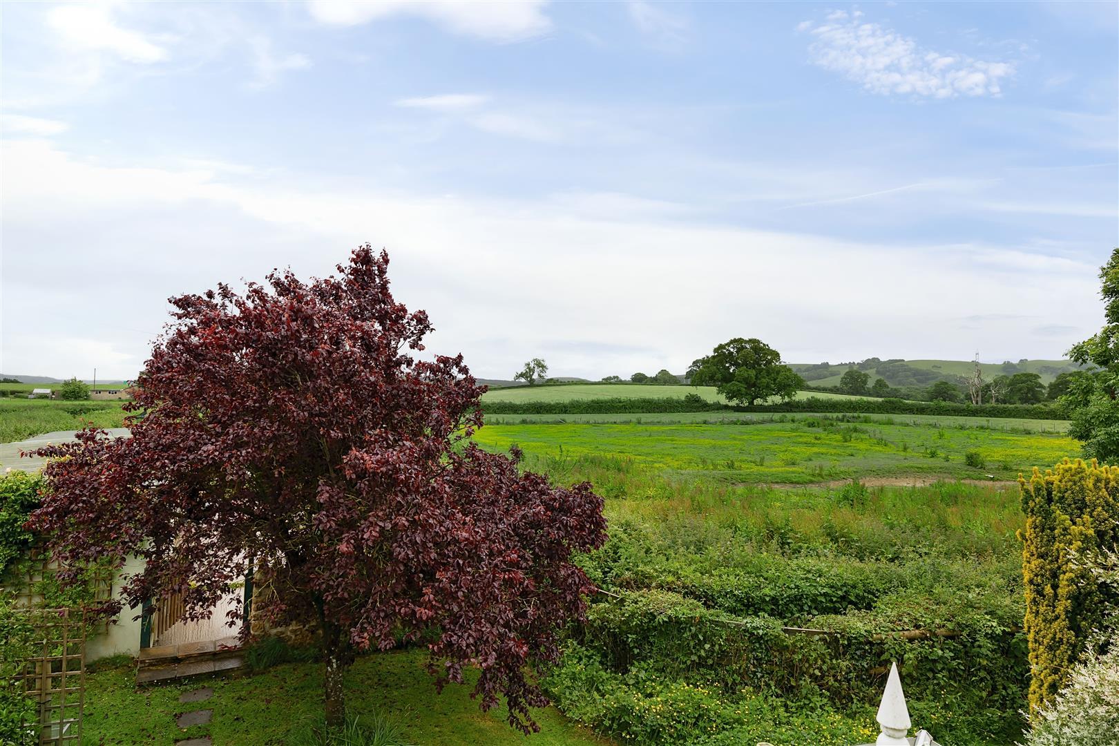 Property Image 8f9871b4-e45b-40d2-a6db-96c3759120e4