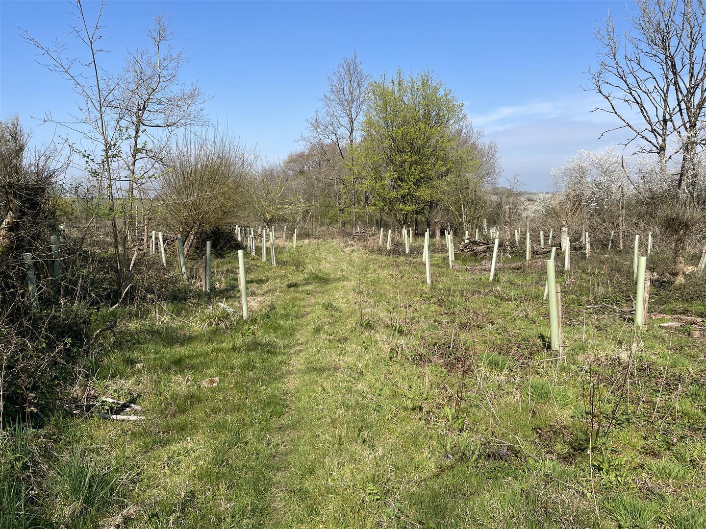 Property Image 8fd0a49c-e256-4dbd-97e8-c95440d7f5ac