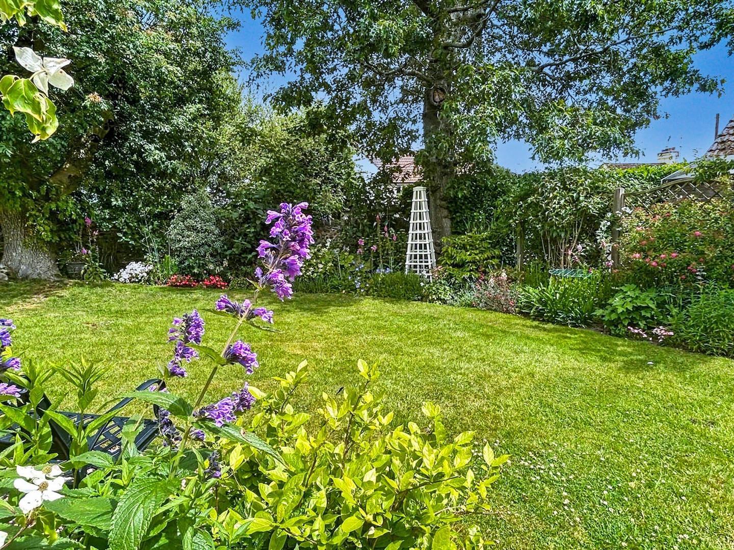 Property Image 8feefa5d-d8d9-4d49-9499-70532346ddbd