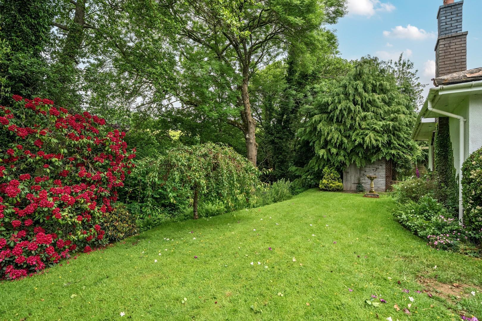 Property Image 8ff2fbf3-7c98-44fe-a1b6-af43ac4c681c
