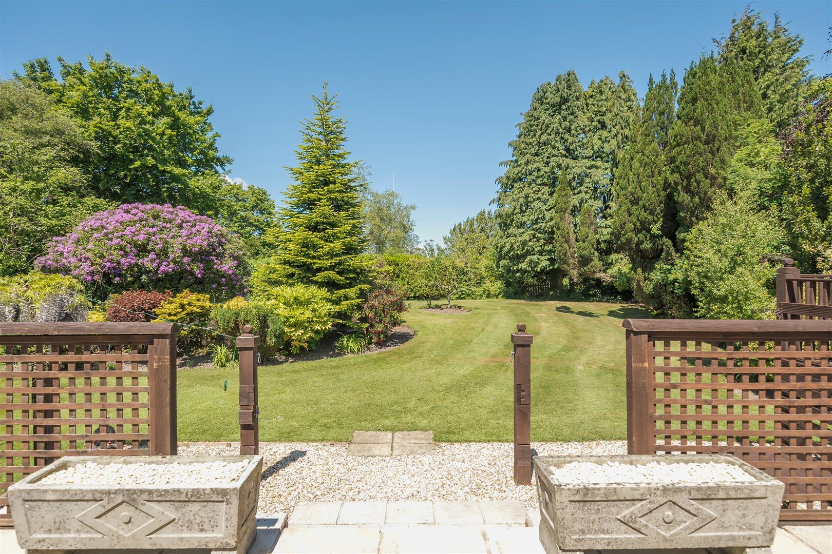 Property Image 8ff3aec5-4c96-4e95-a6ed-eed48e56551d