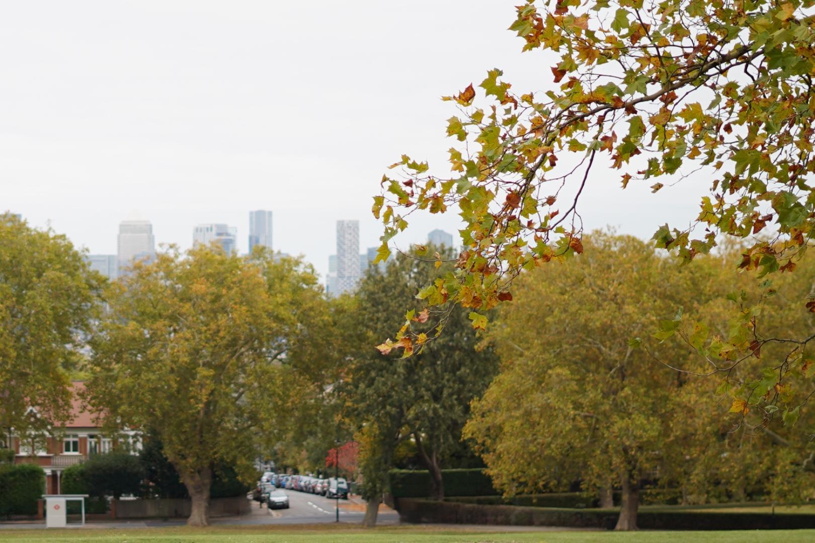 Property Image 9000c469-c199-4bb6-b0a2-e3280e5e07c2