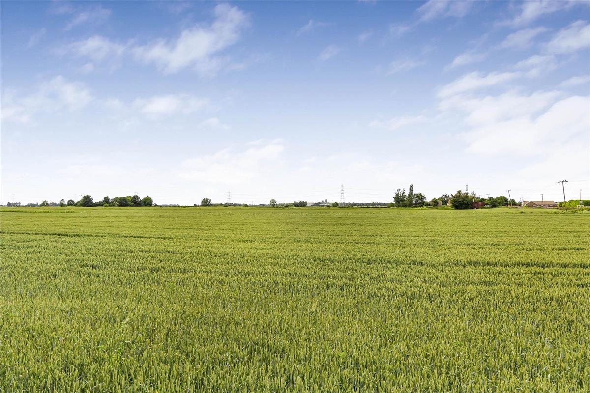 Property Image 902acd7a-edd7-450f-bb64-7ca4b75e4553