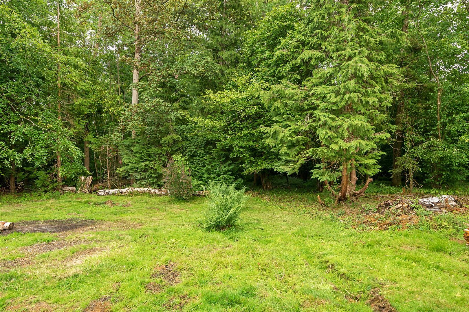 Property Image 903f32d5-9c22-4084-bc80-7d6ad7224ef9
