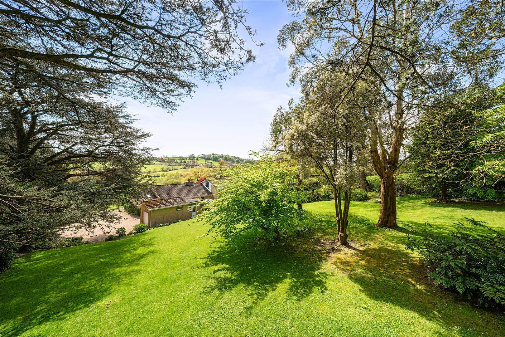 Property Image 9041965f-0e22-4a9c-87ff-76a9f17d63c8