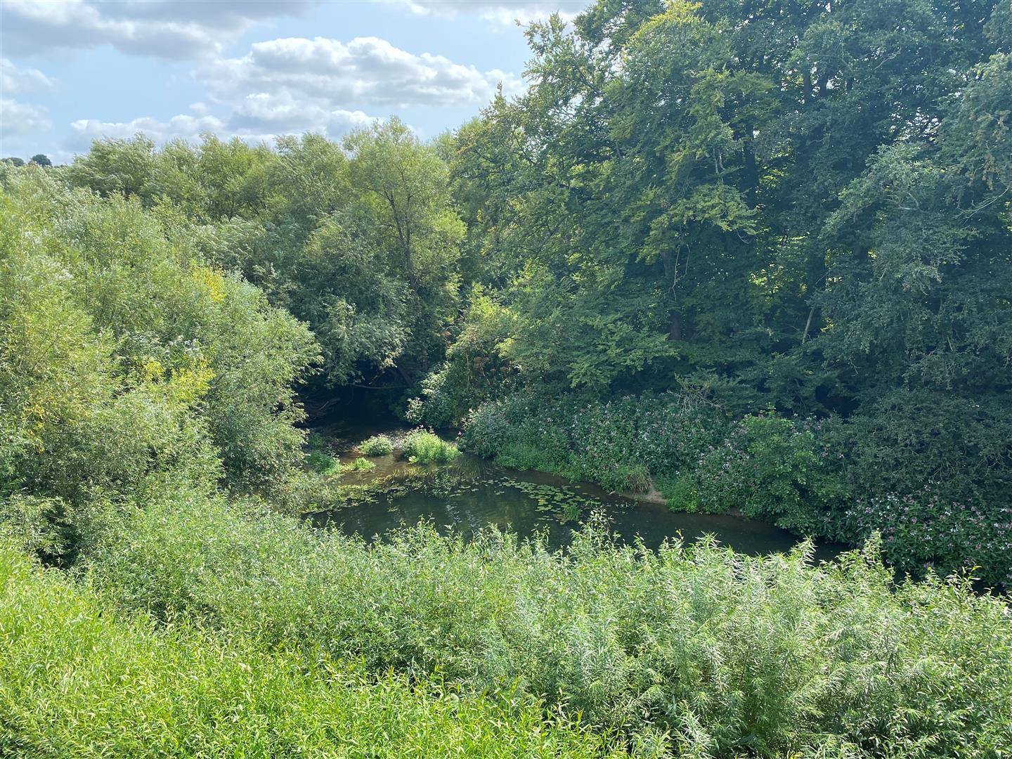Property Image 909e4060-7dc6-456d-b943-85ec7faf117e