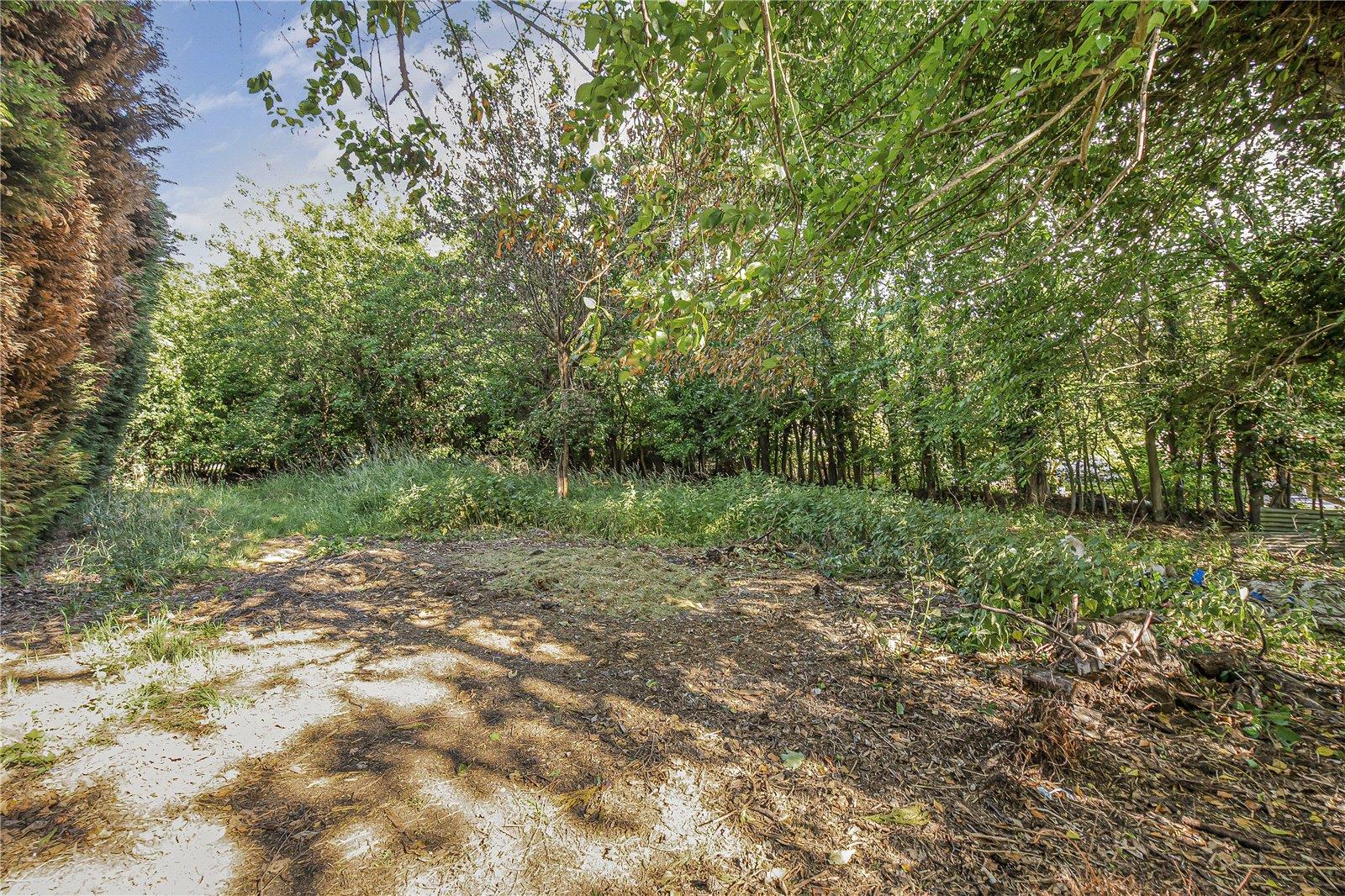 Property Image 90b5f27c-e802-41c3-b7a9-acf12964ca05