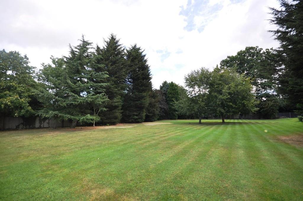 Property Image 90bc6d80-1fe9-4dc8-90bc-698143d37a3a