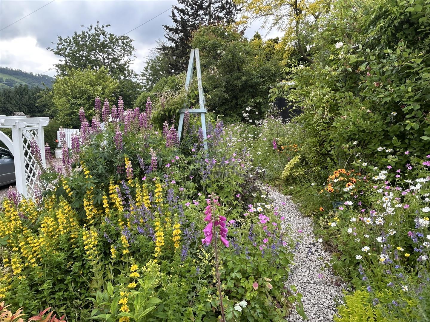 Image 27