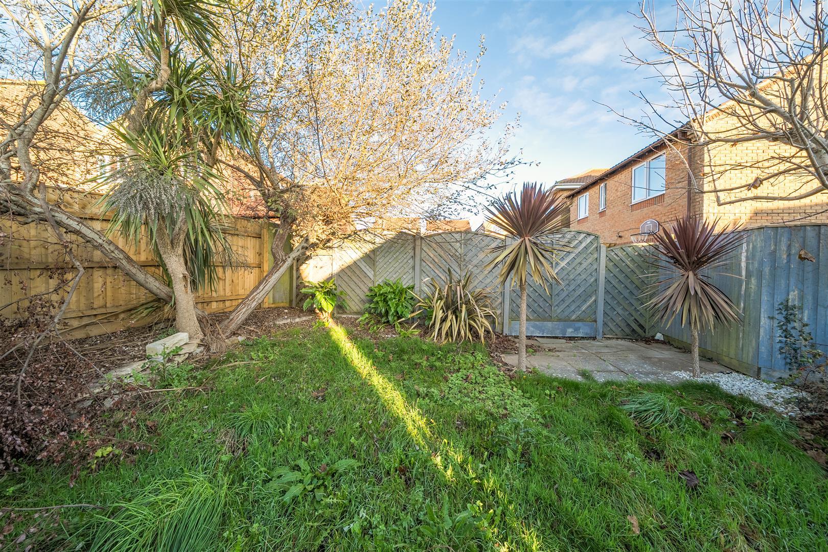 Property Image 9121a230-aafd-43ae-92c8-608716bf5e76