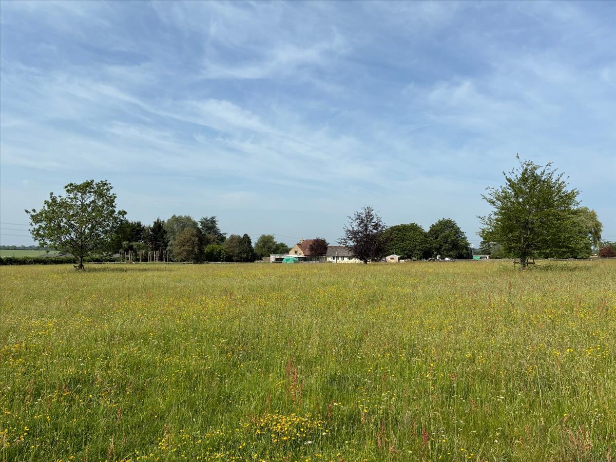 Property Image 9126d29b-fda7-4b8d-9840-e95e2a21c370