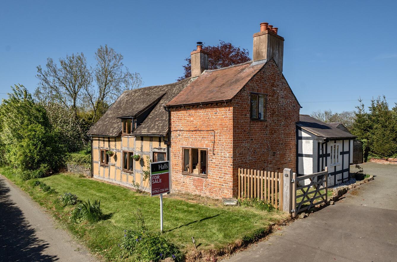 Property Image 9162b193-8bfe-4b51-9695-2507e2e49167