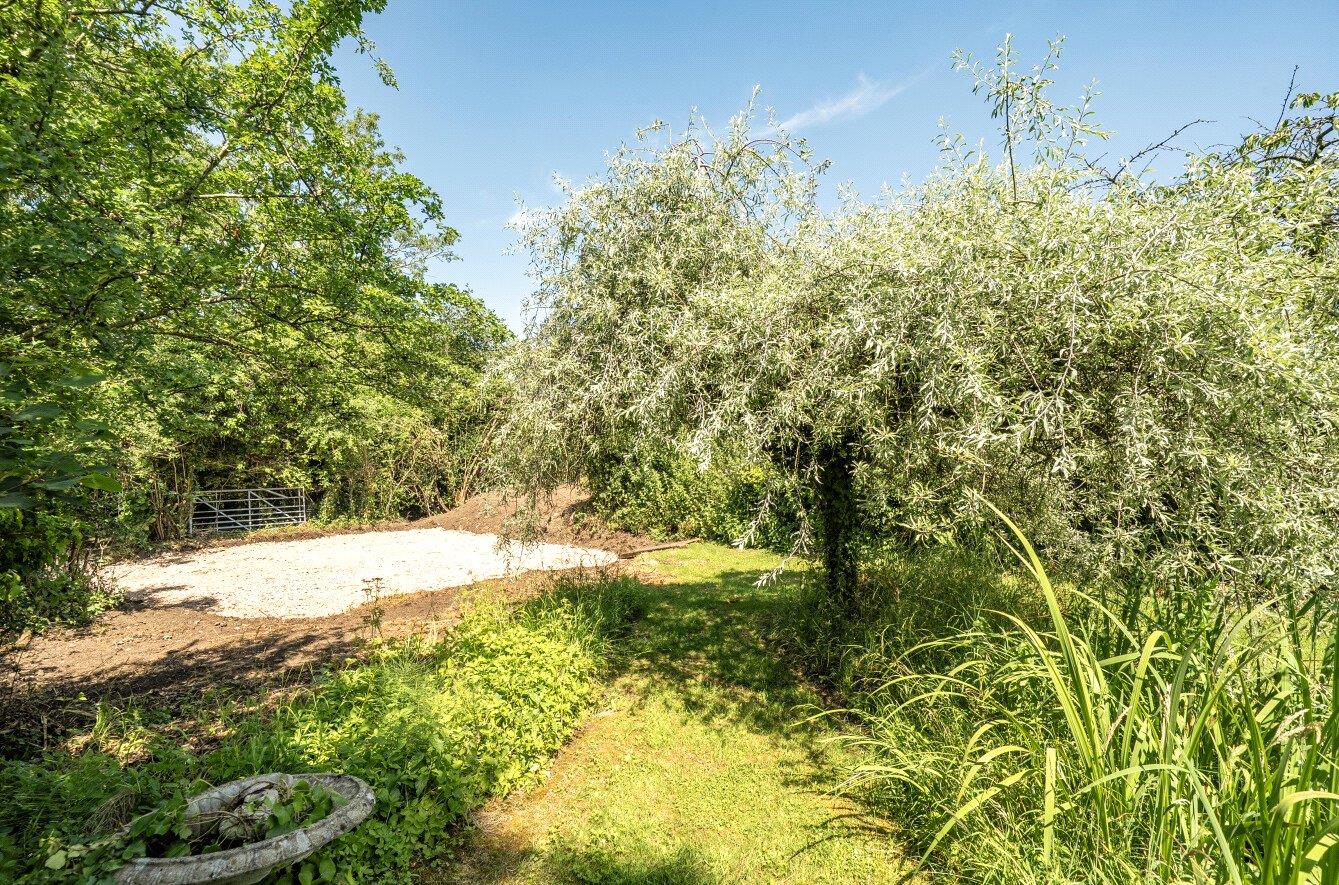 Property Image 91673c91-870c-4193-89f4-f312b2bb8c19