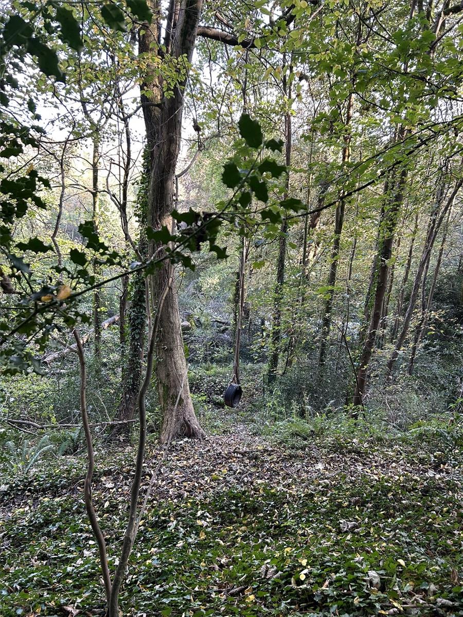Image 10