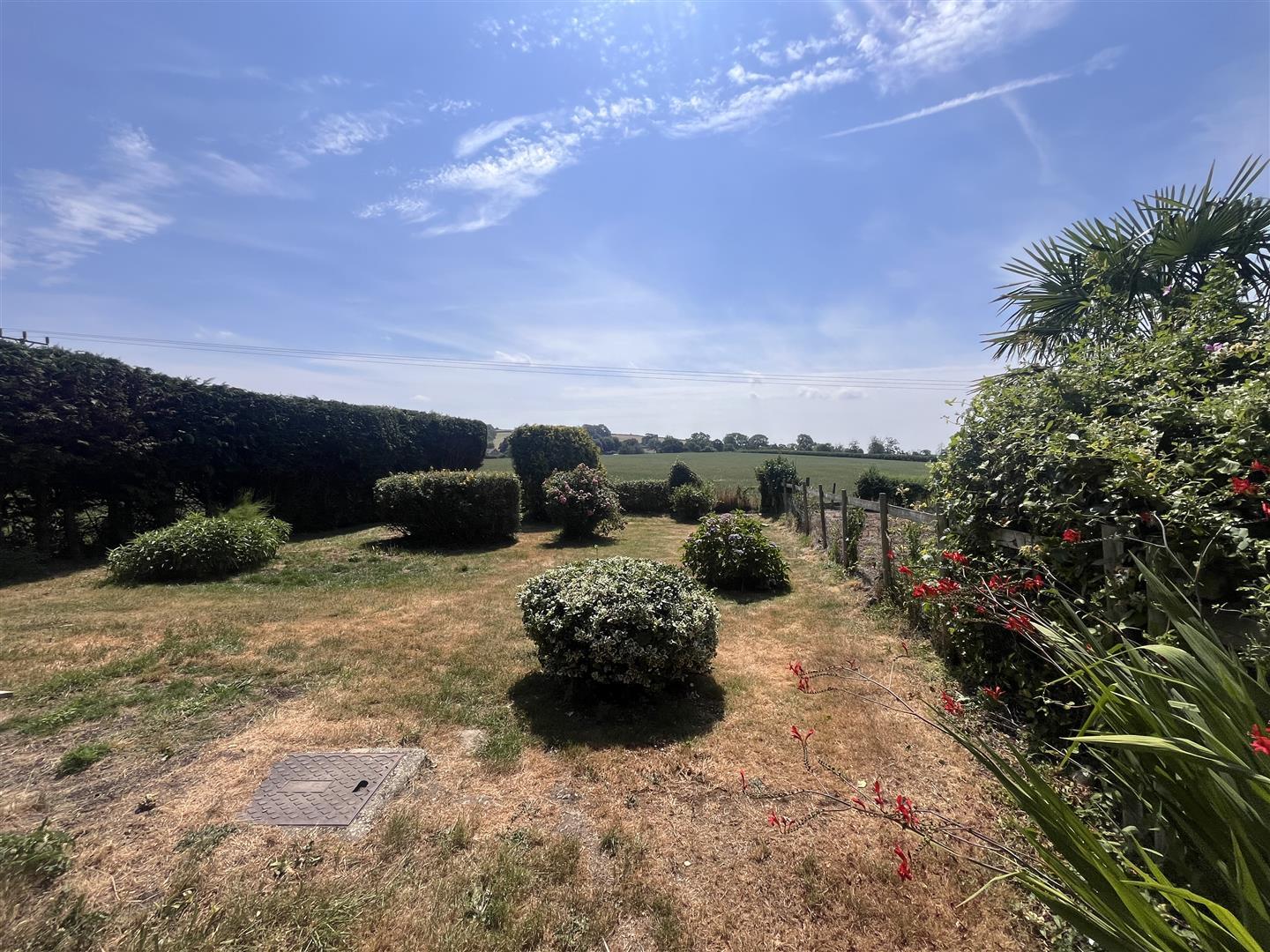 Property Image 917c5584-8c55-45ee-b193-f12d138e7616
